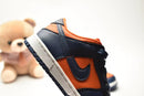 Nike Dunk SB infantil