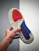 Nike Air Jordan 3 Retro international Flight