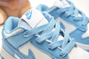 Nike Dunk SB infantil