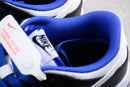 Nike Dunk Low SB