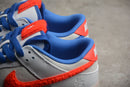 Nike Dunk Low SB