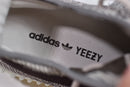Yeezy Boost 350 V2 Zyon