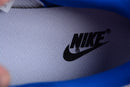 Nike Dunk Low SB