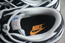 Nike Dunk Low HIGH SB