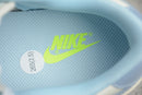 Nike Dunk Low SB