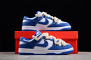 Nike Dunk Low SB