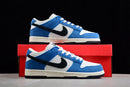 Nike Dunk Low SB