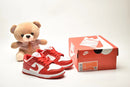 Nike Dunk SB infantil