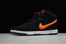 Nike Dunk SB Truck It