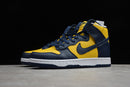 Nike Dunk SB