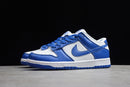 Nike Dunk SB