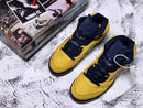 Nike Air Jordan 5 SP Michigan