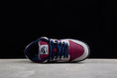 Nike Dunk Low SB