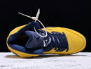 Nike Air Jordan 5 SP Michigan