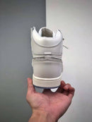 Dior x Nike Air Jordan 1 High