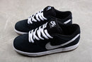 Nike Dunk Low SB