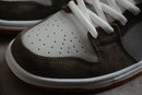 Nike Dunk Low Pro SB