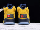 Nike Air Jordan 5 SP Michigan