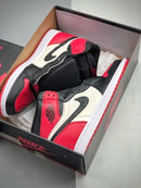 Nike Air Jordan 1 retro