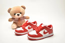 Nike Dunk SB infantil