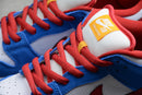 Nike Dunk SB