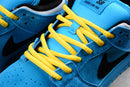 Nike Dunk SB