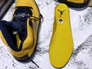 Nike Air Jordan 5 SP Michigan