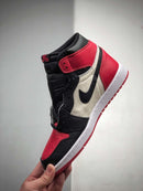 Nike Air Jordan 1 retro