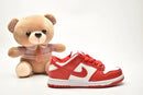 Nike Dunk SB infantil