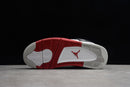 Nike Air Jordan 4